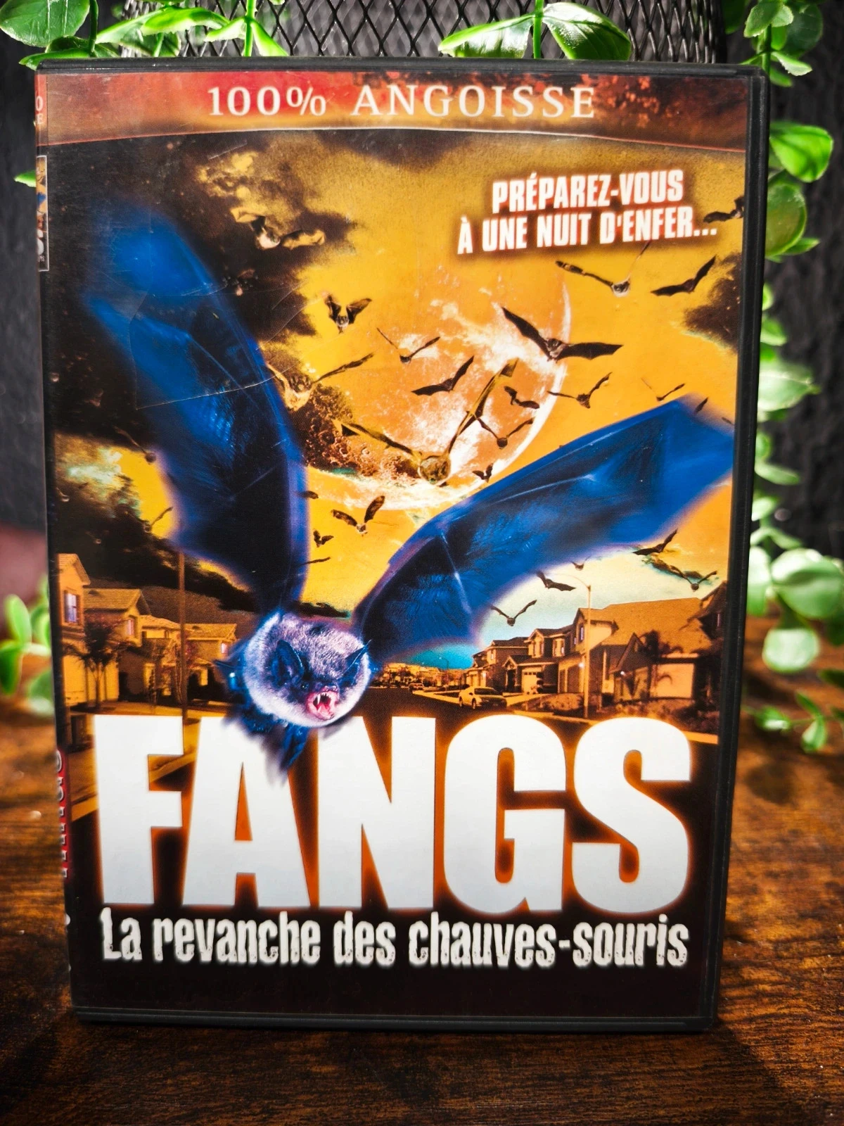 Fangs. La revanche des chauves-souris